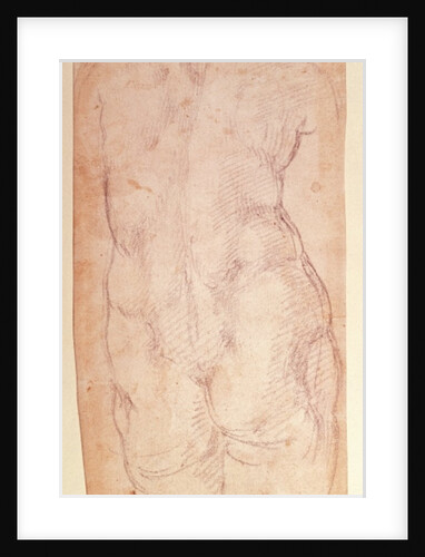 Study of the back of a nude figure by Michelangelo Buonarroti