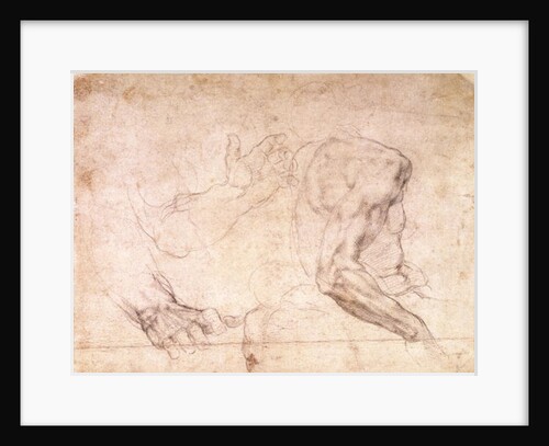 Studies of hands and an arm by Michelangelo Buonarroti
