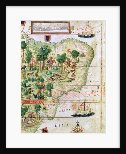 Brazil from the 'Miller Atlas' by Pedro Reinel, c.1519 by Portuguese School