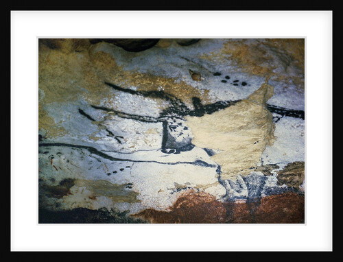 Rock painting of a bull with long horns, the Hall of Bulls, c.17000 BC by Prehistoric Prehistoric