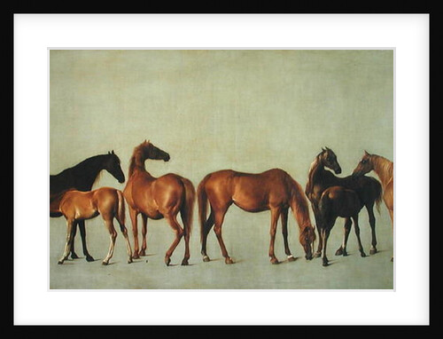 Mares and Foals without a Background, c.1762 by George Stubbs