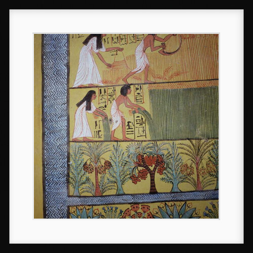 Detail of a harvest scene on the East Wall by Egyptian 19th Dynasty