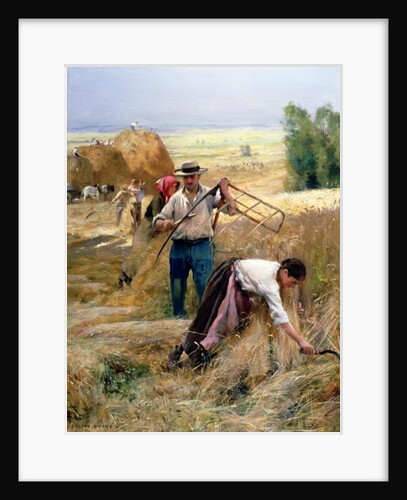 Harvesting by Julien Dupre