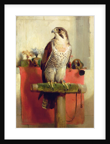 Falcon, 1837 by Edwin Landseer
