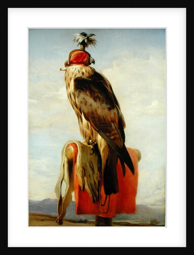 Hooded Falcon by Edwin Landseer