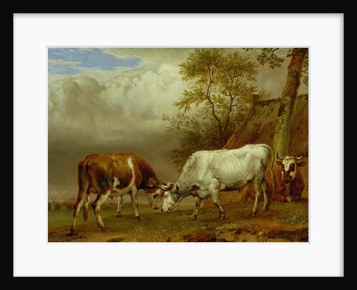 Two Bulls with Locked Horns, 1653 by Paulus Potter