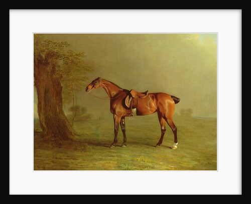 Racehorse by Benjamin Marshall