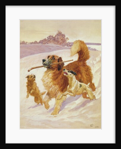 Three dogs playing in the snow, 1881 by John Charlton