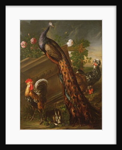 Peacock and Cockerels, 17th century by David de Koninck