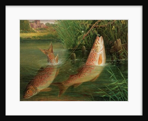 Trout at Winchester by Valentine Thomas Garland