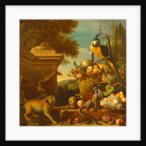 Macaw and a monkey by Melchior de Hondecoeter