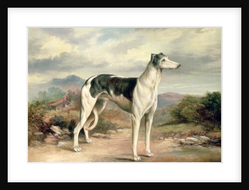 A Greyhound in a hilly landscape by James Henry Beard
