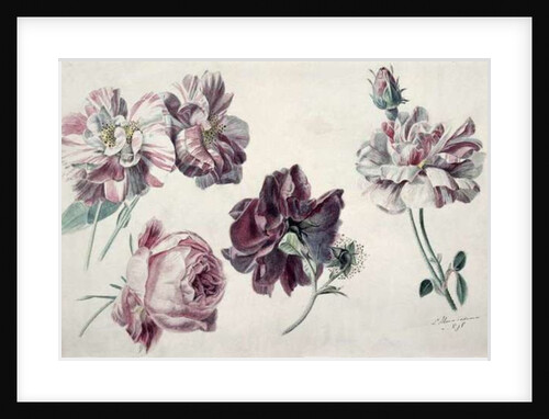 Roses by Lawrence Alma-Tadema