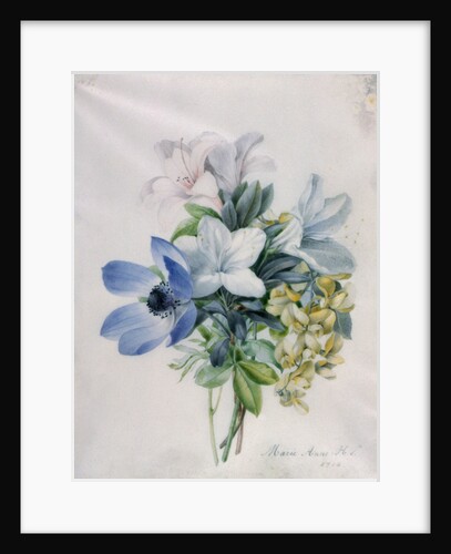 Anemone, wisteria and laburnum by Marie-Anne
