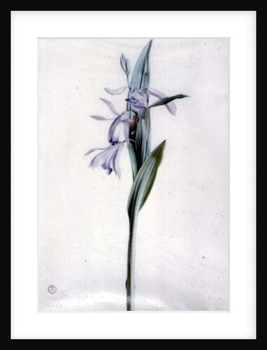 Flower Pieces by Marie-Anne