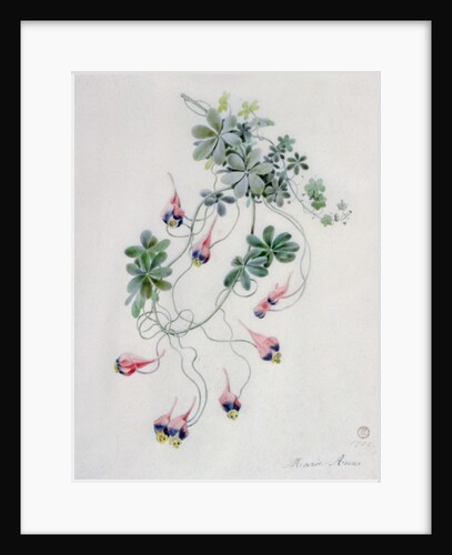 Flower Pieces by Marie-Anne