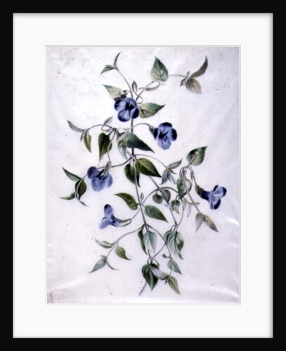 Flower Pieces by Marie-Anne