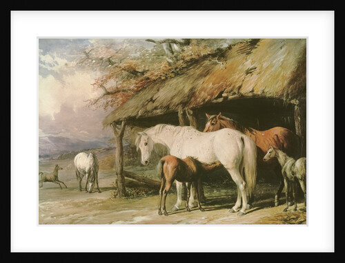 Mares and Foals, 19th century by William Barraud