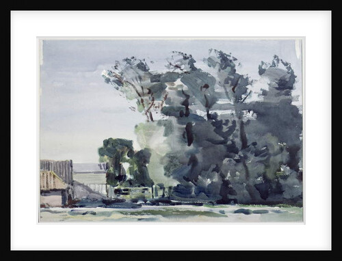 Trees - Dawn by Harry Becker