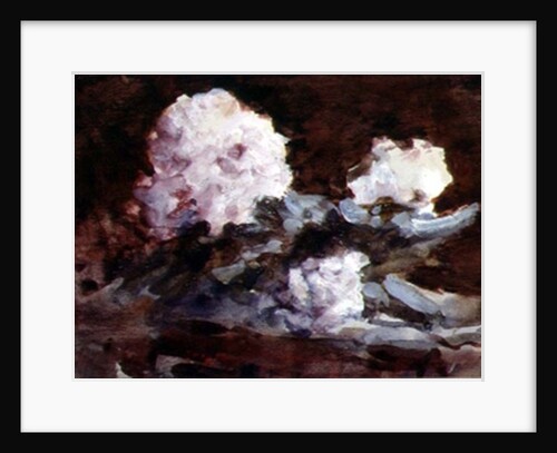 Rhododendrons by Hercules Brabazon Brabazon