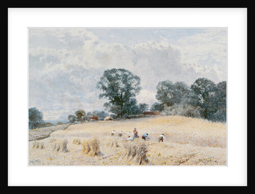 The Harvest by William Paton Burton