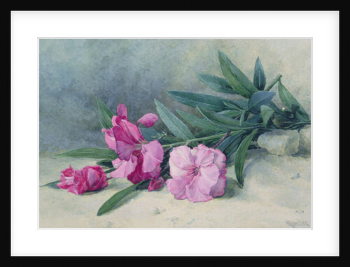 Oleander Blossom by Mary E. Butler