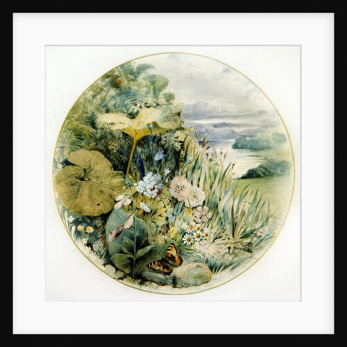 Wild Flowers and Vegetation, in a Lakeland District by William Linnaeus Casey