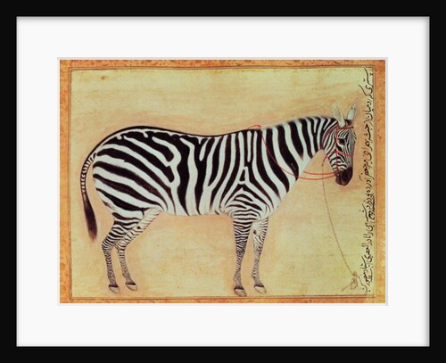 Zebra by Mansur (attr. to)