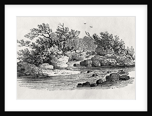 A bend in the river by Thomas Bewick