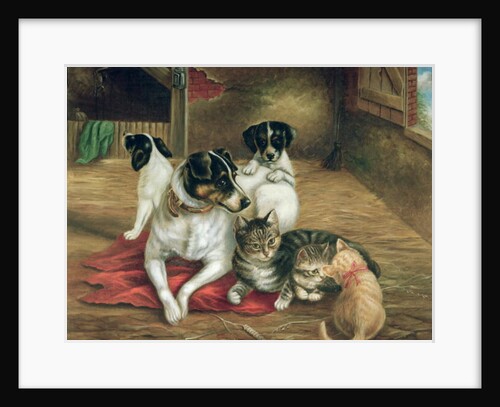 Stable friends by English School