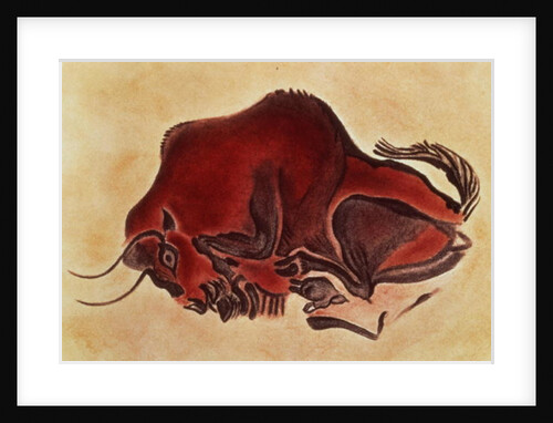 Rock painting of a bison, late Magdalenian, 13000 BC by Anonymous