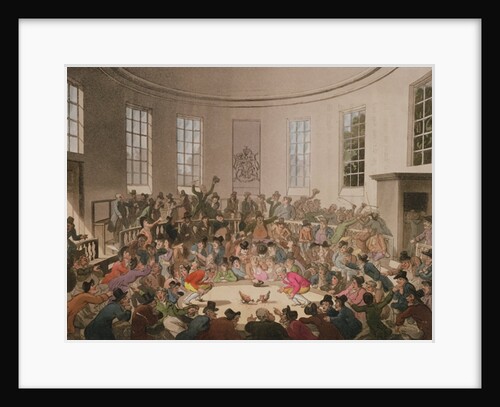 Royal Cock Pit, 1808 by T. & Pugin A.C.(1762-1832) Rowlandson