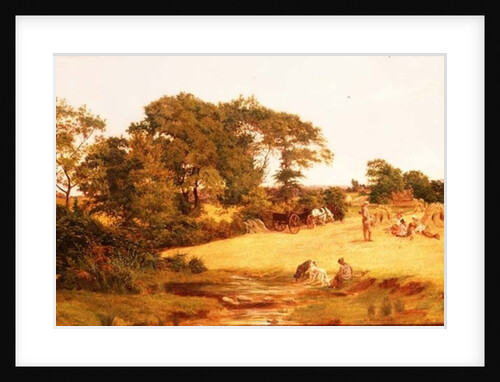 Cornfield in Essex, 1875 by Francis M. Trappes