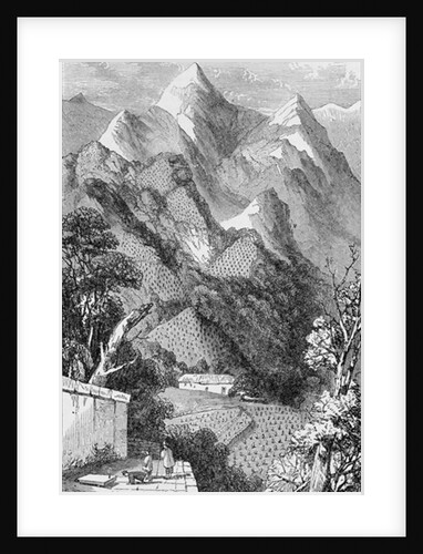 Scene in the Bohea Mountains, on Marco Polo's route, 1903 by Anonymous