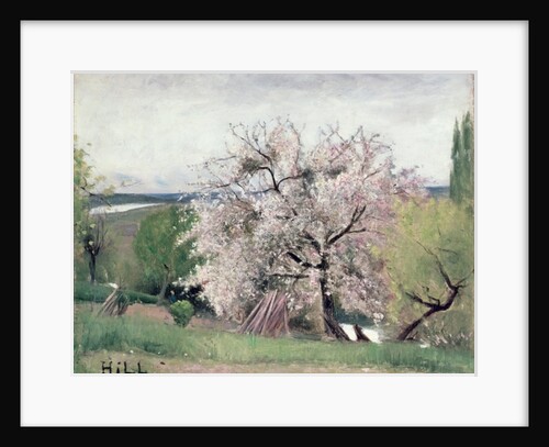 Fruit Tree in Blossom, Bois-le-Roi by Carl Fredrik Hill