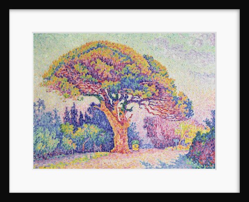 The Pine Tree at St. Tropez, 1909 by Paul Signac