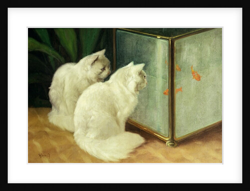 White Cats Watching Goldfish by Arthur Heyer