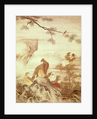 Pheasants and peonies by Motonobu Kano