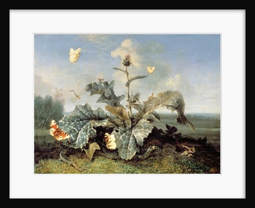 The Burdock Bush by Otto Marseus van Schrieck