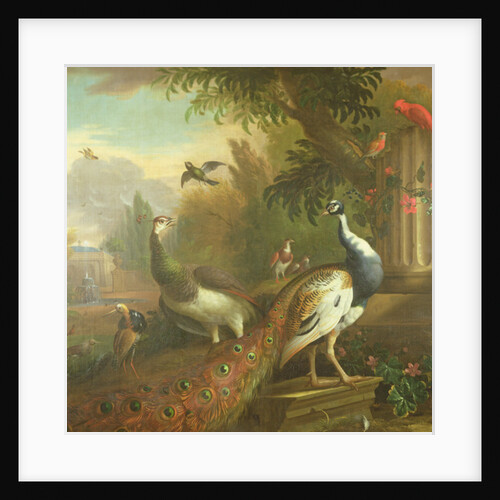 Peacock and Peahen with a Red Cardinal in a Classical Landscape by Tobias Stranover