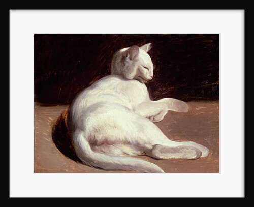 The White Cat, c.1817-18 by Theodore Gericault