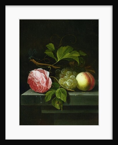 A Still Life with a Rose, Grapes and Peach, 17th century by Johannes Borman