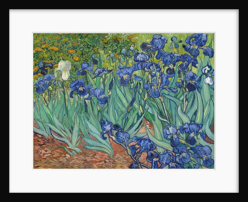 Irises, 1889 by Vincent van Gogh