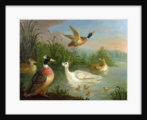 Ducks on a River Landscape by Marmaduke Craddock