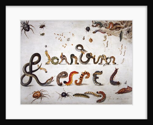 Garden and other spiders, caterpillars spell the artist's name, 1657 by Jan van the Elder Kessel