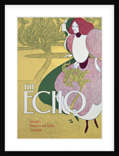 Front cover of 'The Echo' by William Bradley