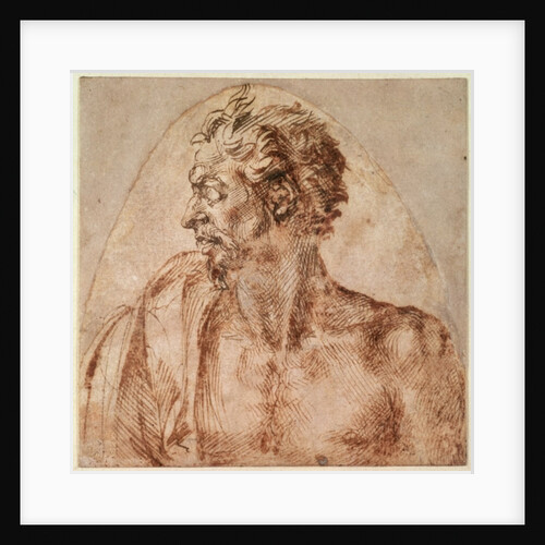 Study of Head and Shoulders by Michelangelo Buonarroti