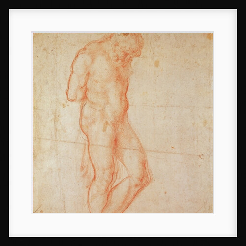 Study of a Nude by Michelangelo Buonarroti