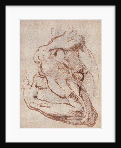 Study of an Arm Inv.1859/5/14/819 by Michelangelo Buonarroti