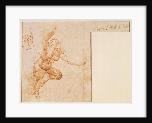 Study of a Female Nude by Michelangelo Buonarroti